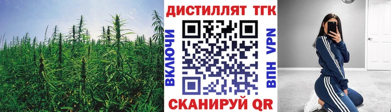 как найти Светлогорск ТГК Wax
