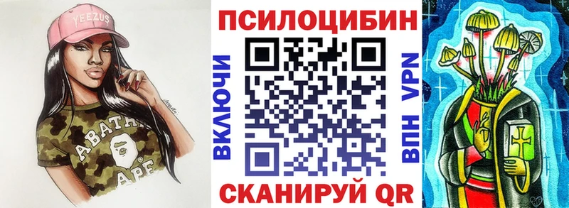 Галлюциногенные грибы Psilocybine cubensis  закладки  Светлогорск 